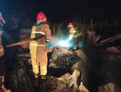 Heboh! Kebakaran di Kalibendo Banyuwangi Hanguskan Gudang Sortir Cabai dan Tomat