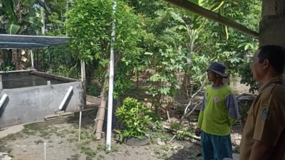 awas-dbd,-warga-sekampung-di-banyuwangi-diteror-nyamuk!-–-radar-banyuwangi