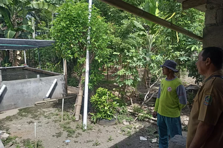 awas-dbd,-warga-sekampung-di-banyuwangi-diteror-nyamuk!-–-radar-banyuwangi