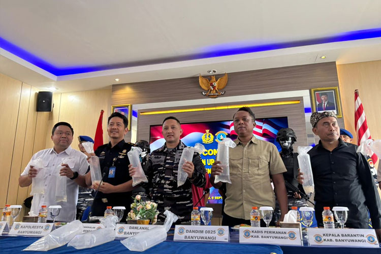 lanal-banyuwangi-gagalkan-penyelundupan-28-ribu-benur-bernilai-ratusan-juta-rupiah-–-times-banyuwangi