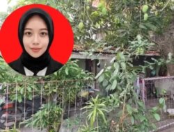 Kronologi Kasus Mutilasi Tiara Angelina Saraswati yang Gegerkan Mojokerto