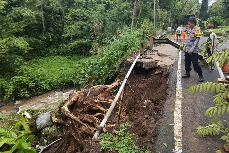 longsor-dan-pohon-tumbang-tutup-jalan-licin-banyuwangi,-lalin-sempat-macet!
