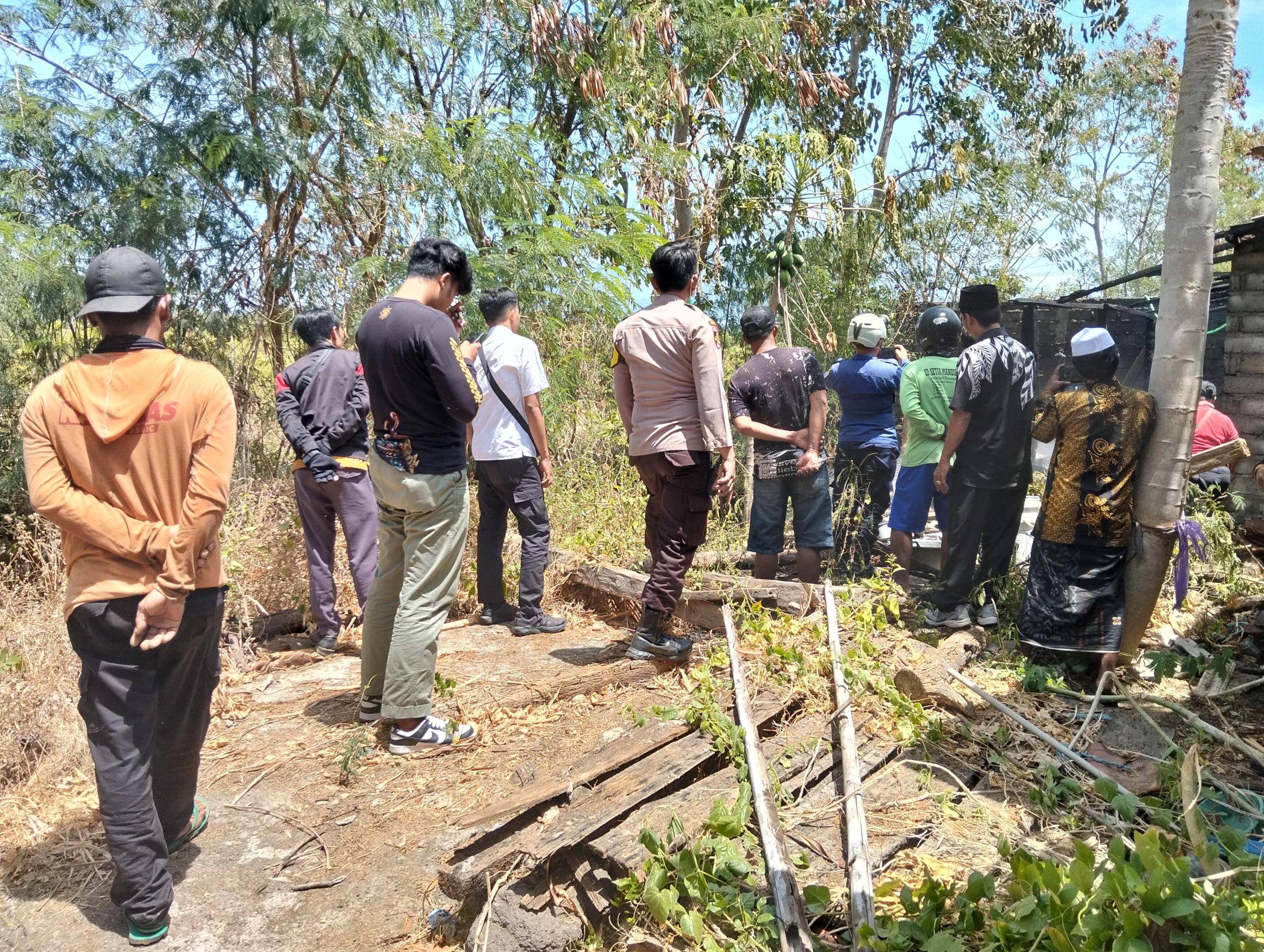 kandang-dan-dapur-janda-di-wongsorejo-ludes-dilalap-api,-diduga-berawal-dari-timur-kandang