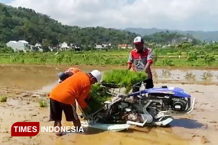 dprd-pacitan-ingatkan-usulan-irigasi-rp7,53-miliar-dkpp-harus-berdampak-untuk-petani-–-times-banyuwangi