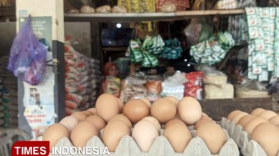 produksi-telur-banyuwangi-tembus-820-ton-per-bulan-–-times-banyuwangi