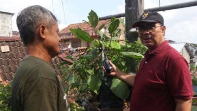 kampung-hijau-di-tengah-kota-yogyakarta,-warga-suryatmajan-jadi-teladan-pengelolaan-sampah-–-times-banyuwangi