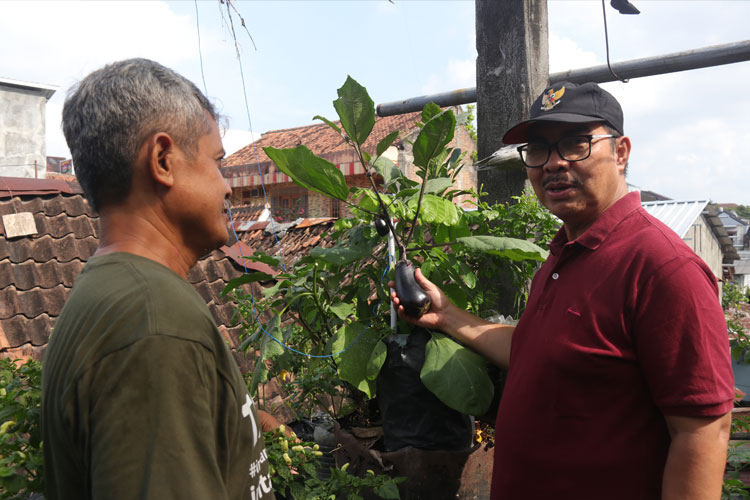 kampung-hijau-di-tengah-kota-yogyakarta,-warga-suryatmajan-jadi-teladan-pengelolaan-sampah-–-times-banyuwangi