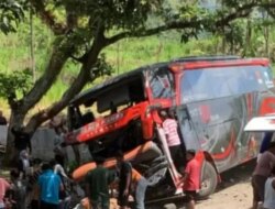 RS Bina Sehat Jember Kerahkan 18 Ambulans ke Probolinggo, Evakuasi Karyawannya yang Jadi Korban Bus Rem Blong Bromo