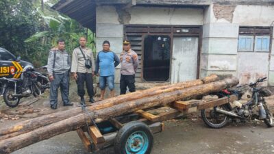 wow,-polhutmob-kph-banyuwangi-selatan-amankan-38-batang-kayu-jati-ilegal