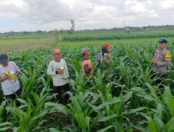 Latihan Beladiri Polresta Banyuwangi: Tingkatkan Kualitas Pelayanan dan Keamanan