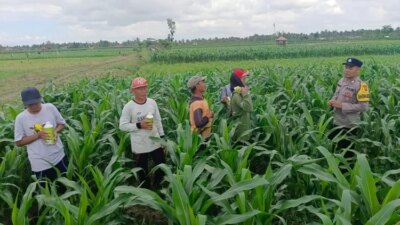 latihan-beladiri-polresta-banyuwangi:-tingkatkan-kualitas-pelayanan-dan-keamanan