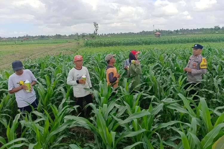 latihan-beladiri-polresta-banyuwangi:-tingkatkan-kualitas-pelayanan-dan-keamanan