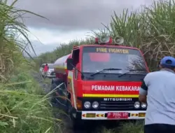 Petugas Damkar Banyuwangi Evakuasi Mobil Konten Kreator Terjebak di Area Lahan Tebu