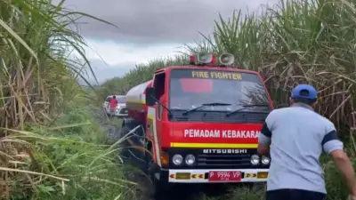petugas-damkar-banyuwangi-evakuasi-mobil-konten-kreator-terjebak-di-area-lahan-tebu