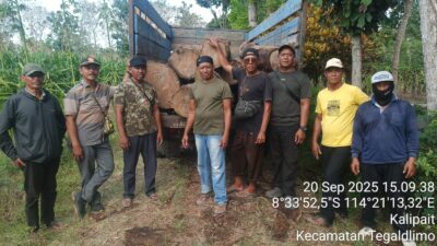 polisi-dan-polhutmob-amankan-15-batang-kayu-jati-diduga-ilegal-di-kecamatan-tegaldlimo