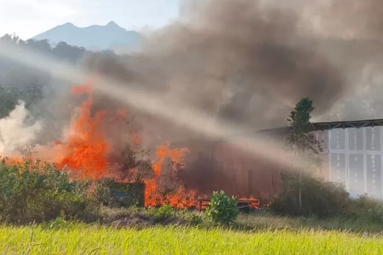 heboh!-ilalang-dekat-pabrik-inka-banyuwangi-terbakar,-api-nyaris-lahap-gudang-kereta