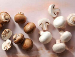 Manfaat pada Tubuh Jika Rutin Mengonsumsi Jamur – TIMES Banyuwangi