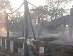 Ribuan Ekor Ayam di Kecamatan Sempu Hangus Akibat Kandang Dilahap Si Jago Merah