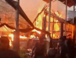 4.000 Ekor Ayam Mati Terpanggang Kobaran Api, Peternak di Banyuwangi Rugi Setengah Miliar Rupiah – TIMES Banyuwangi