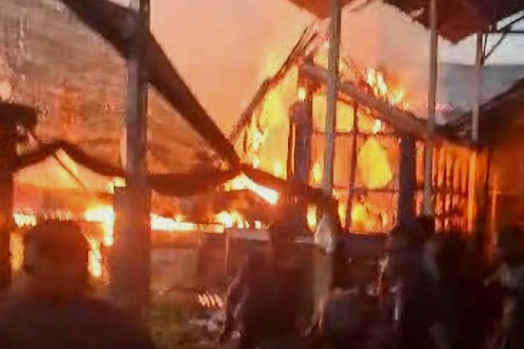 4.000-ekor-ayam-mati-terpanggang-kobaran-api,-peternak-di-banyuwangi-rugi-setengah-miliar-rupiah-–-times-banyuwangi
