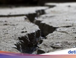 Melihat Lagi Potensi Megathrust Banyuwangi