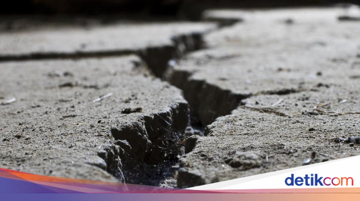 melihat-lagi-potensi-megathrust-banyuwangi