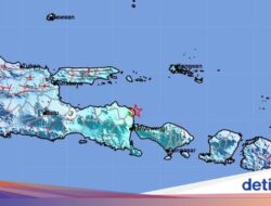 Gempa Banyuwangi Terasa Hingga Jember, Belum Ada Laporan Kerusakan
