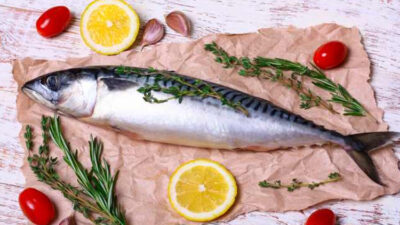 5-ikan-laut-bergizi-tinggi-cocok-untuk-mbg-–-times-banyuwangi