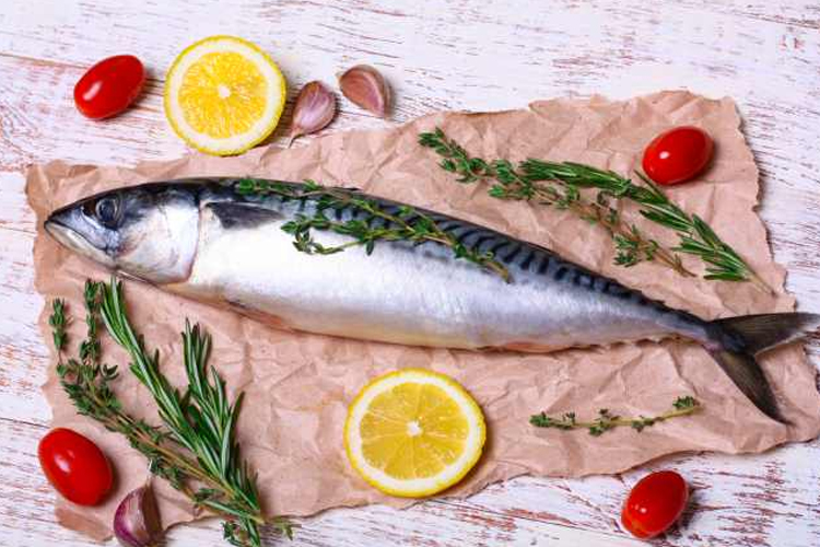 5-ikan-laut-bergizi-tinggi-cocok-untuk-mbg-–-times-banyuwangi