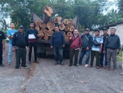 Grandong Bermuatan Kayu Jati Diduga Ilegal Diamankan Petugas Gabungan