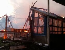 Ternak Berisi 4 Ribu Ekor Ayam Terbakar di Banyuwangi, Pemilik Rugi Rp400 Juta
