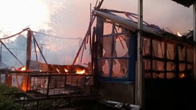 ternak-berisi-4-ribu-ekor-ayam-terbakar-di-banyuwangi,-pemilik-rugi-rp400-juta