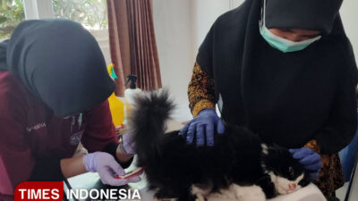 banyuwangi-targetkan-daerah-bebas-rabies-lewat-vaksinasi-massal-–-times-banyuwangi
