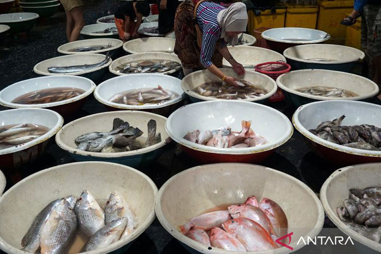 dokter-gizi:-kekurangan-protein-picu-stunting,-kelebihan-ganggu-ginjal-–-times-banyuwangi