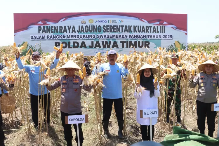 kapolda-jatim-panen-jagung-di-banyuwangi,-lahan-433-hektare-produksinya-mencapai-1.445-ton