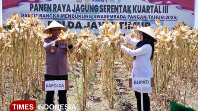 dukung-swasembada-pangan-nasional,-kapolda-dan-bupati-ipuk-panen-raya-jagung-di-banyuwangi-–-times-banyuwangi