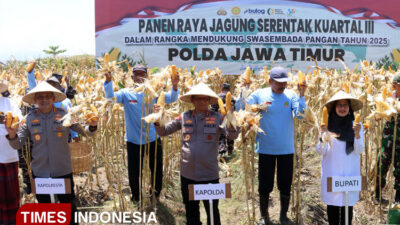 panen-raya-1.445-ton-jagung-di-banyuwangi-dikawal-kapolda-jatim-–-times-banyuwangi