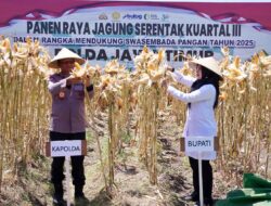 Surplus Pangan Terjaga, Kapolda dan Bupati Ipuk Panen Jagung Serentak di Banyuwangi