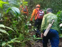 Diduga Tersesat, Pencari Sayur Pakis di Banyuwangi Hilang di Hutan Rowo Glagah