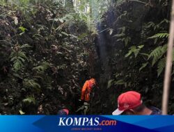 Pria Banyuwangi Dilaporkan Hilang Saat Cari Pakis ke Hutan Bersama Anak