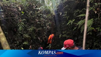 pria-banyuwangi-dilaporkan-hilang-saat-cari-pakis-ke-hutan-bersama-anak