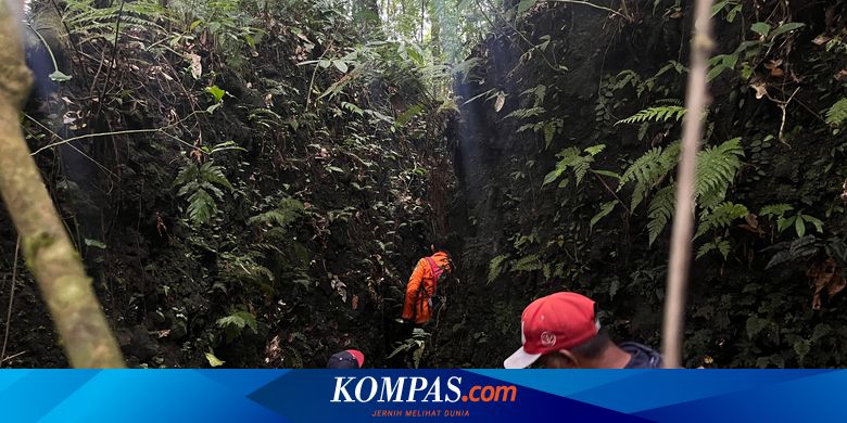 pria-banyuwangi-dilaporkan-hilang-saat-cari-pakis-ke-hutan-bersama-anak