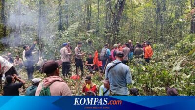 sempat-hilang-saat-cari-pakis-di-hutan,-pria-di-banyuwangi-ditemukan-lemas