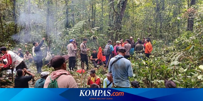 sempat-hilang-saat-cari-pakis-di-hutan,-pria-di-banyuwangi-ditemukan-lemas