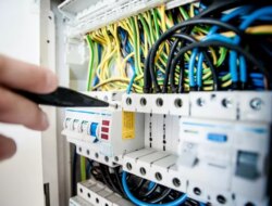 Syarat dan Cara Daftar Rekrutmen PLN Group 2025, Dibuka Hingga 5 Oktober