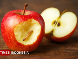 Buah Berulat Masih Bisa Dimakan? Simak Hukum Fiqihnya – TIMES Banyuwangi