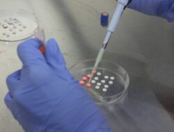 Riset Mahasiswa UGM: Obat Antipsikotik Tawarkan Harapan Baru Atasi Infeksi Jamur Resisten – TIMES Banyuwangi