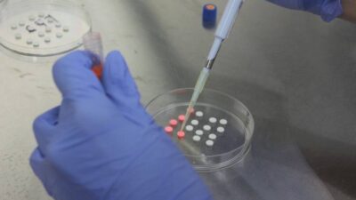 riset-mahasiswa-ugm:-obat-antipsikotik-tawarkan-harapan-baru-atasi-infeksi-jamur-resisten-–-times-banyuwangi