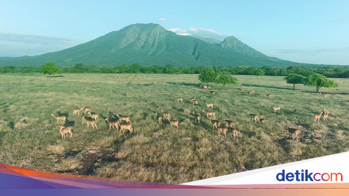 itinerary-jalan-jalan-di-banyuwangi-tanpa-menginap