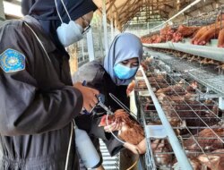 Resmi Dibuka! Pendaftaran Magang Bergaji Rp3,3 Juta untuk Fresh Graduate, Simak Syarat dan Cara Daftarnya